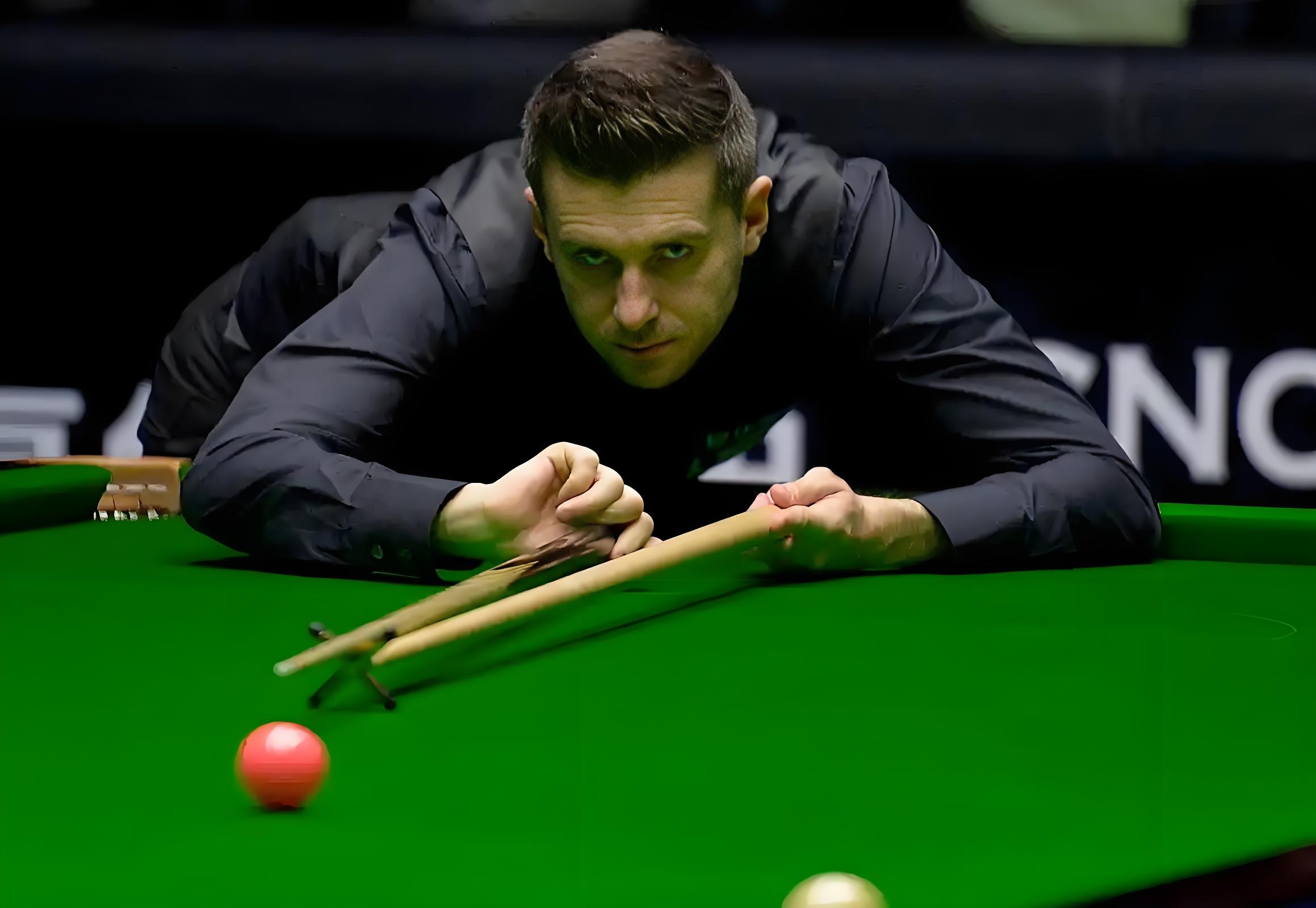 他的职业生 他的职业生