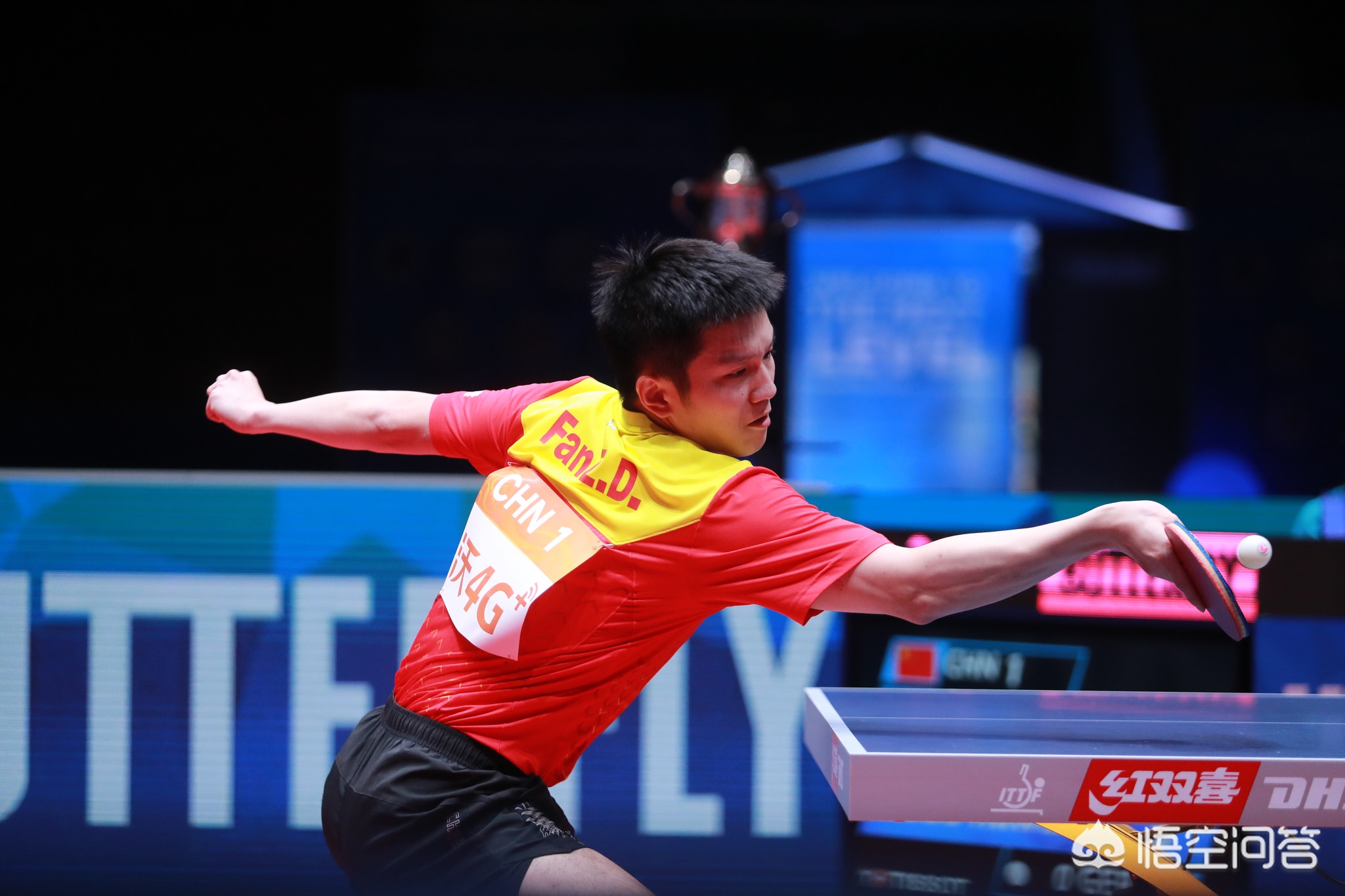 如今似乎开 如今似乎开