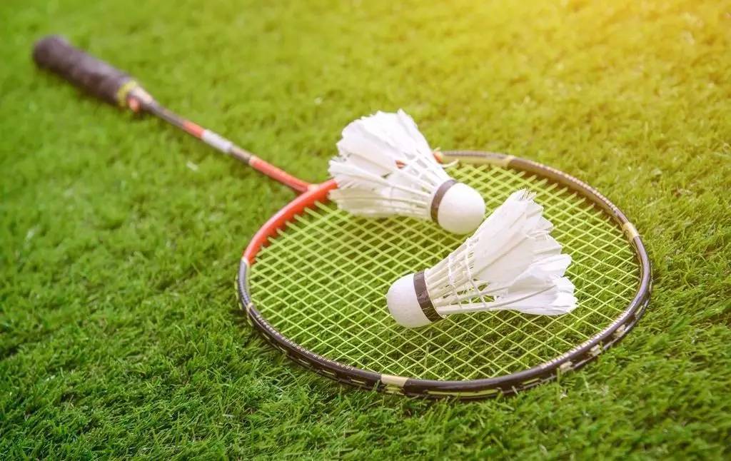 她凭借惊人 她凭借惊人