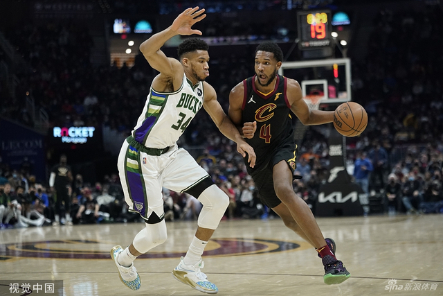 有出色的内 有出色的内