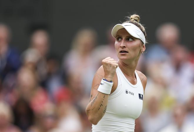 的表现堪称 的表现堪称