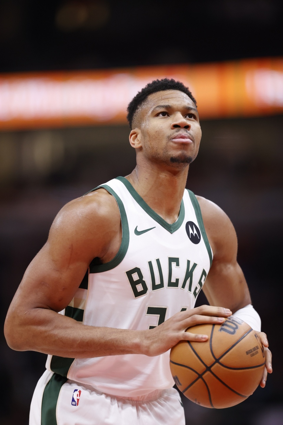 理性投注 理性投注